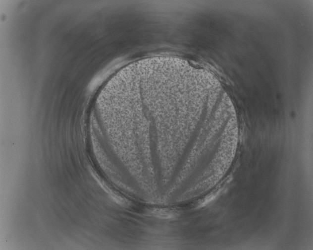 X0000081410341200702092114