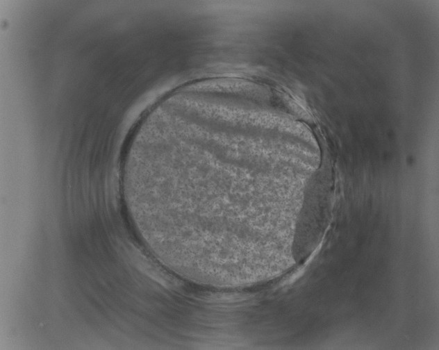 X0000081410342200702092114