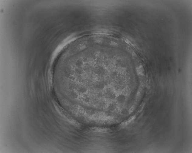 X0000081410343200702092114