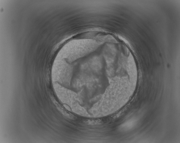 X0000081410345200702092114