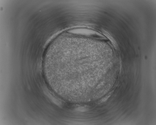 X0000081410346200702092114