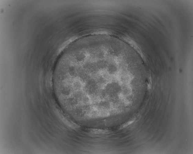 X0000081410347200702092114