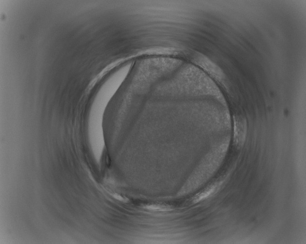 X0000081410348200702092114