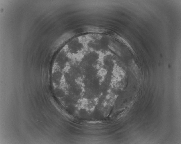 X0000081410349200702092114