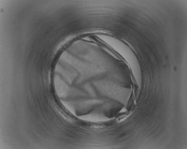 X0000081410350200702092114