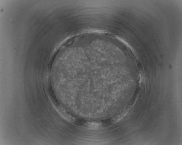 X0000081410352200702092114