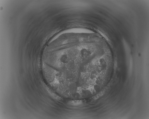 X0000081410353200702092114