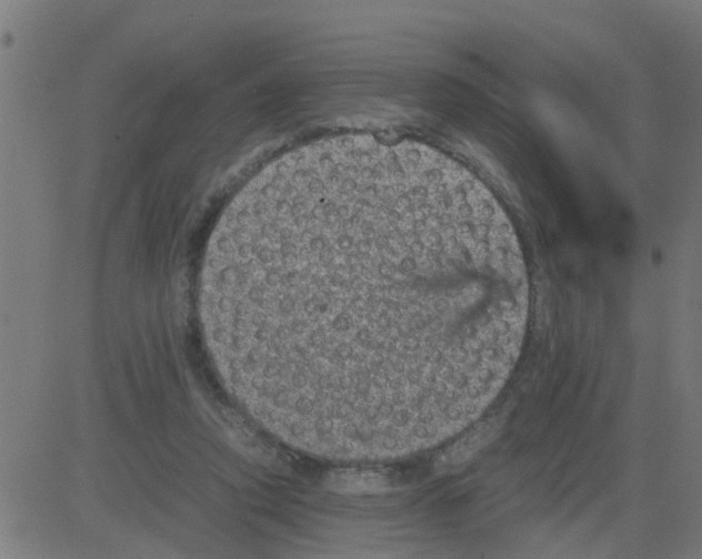 X0000081410354200702092114