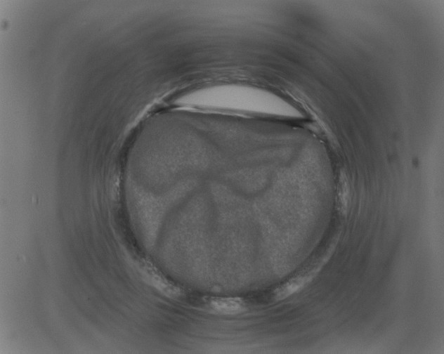 X0000081410355200702092114