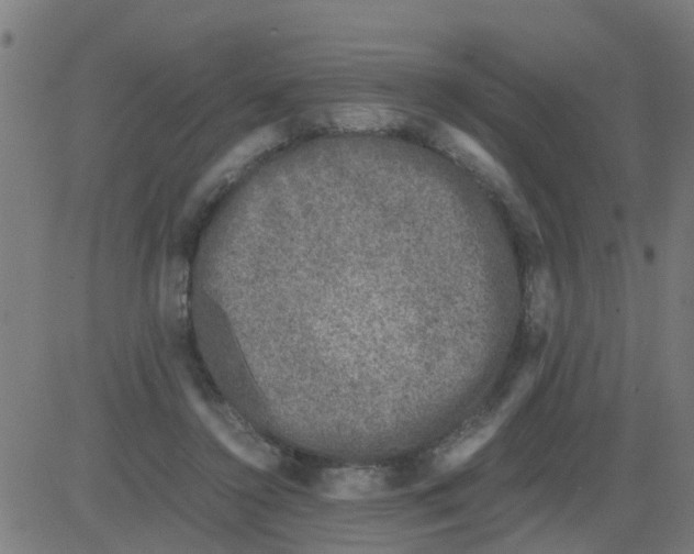 X0000081410356200702092114