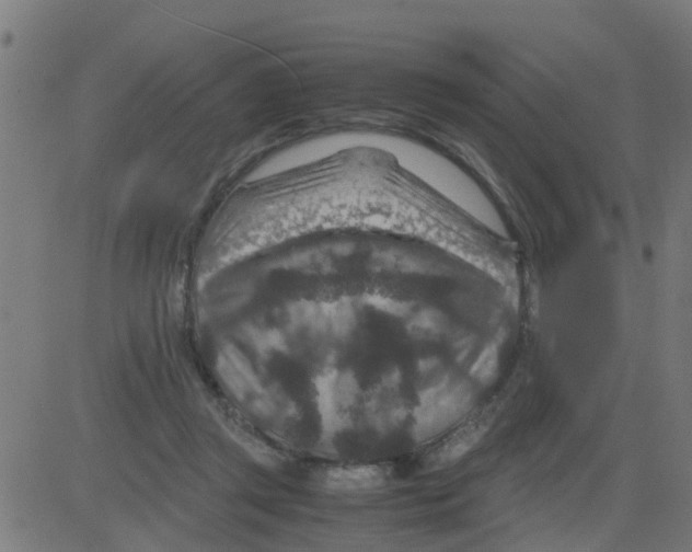 X0000081410357200702092114