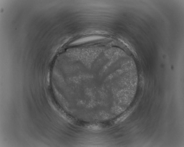 X0000081410358200702092114