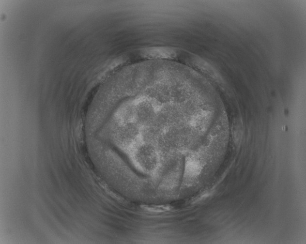 X0000081410359200702092114