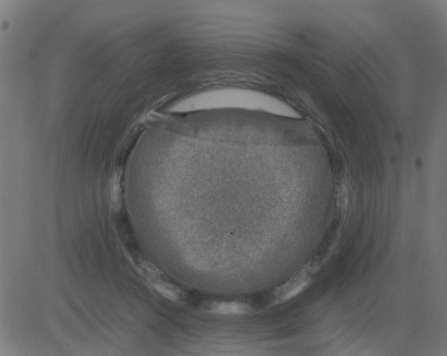 X0000081410360200702092114