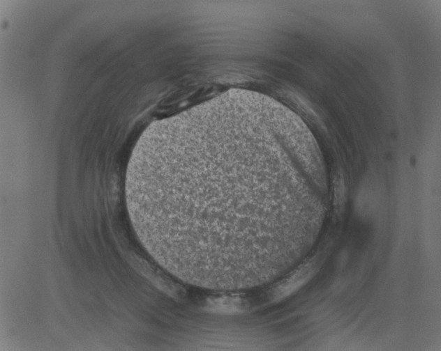 X0000081410362200702092114