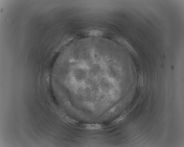 X0000081410363200702092114