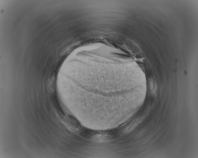 X0000081410364200702092114