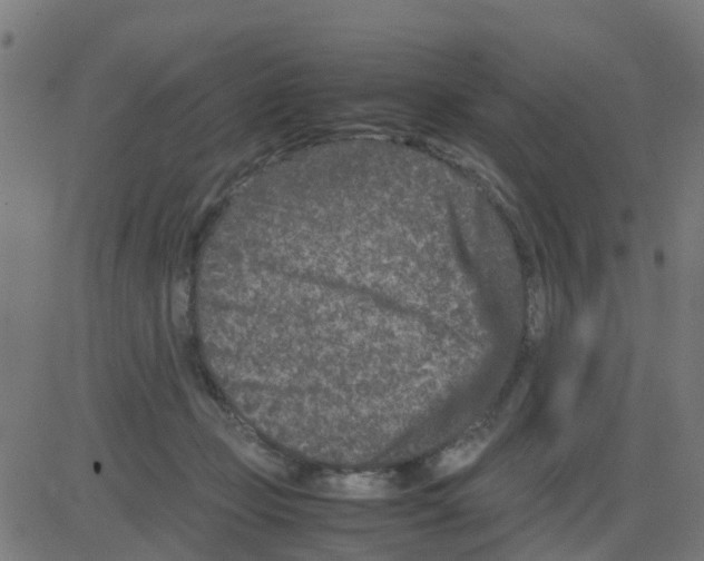 X0000081410365200702092114