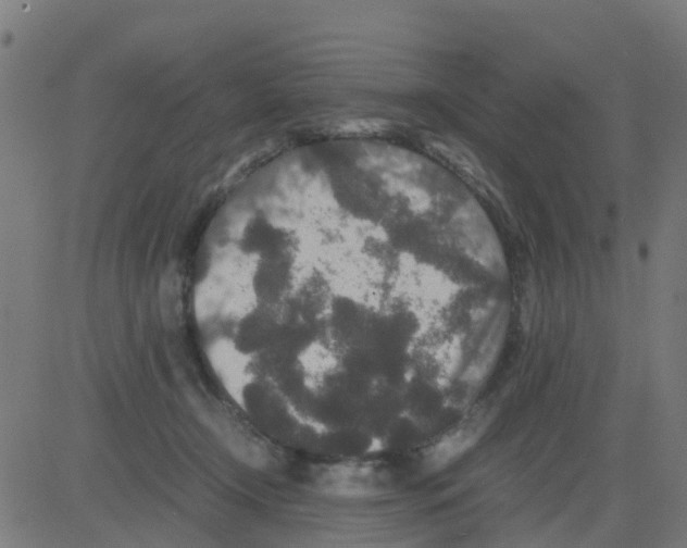 X0000081410366200702092114