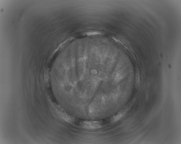 X0000081410367200702092114