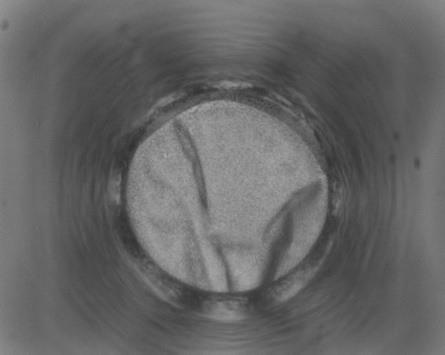 X0000081410368200702092115