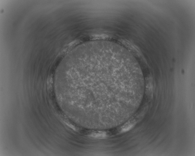 X0000081410369200702092115