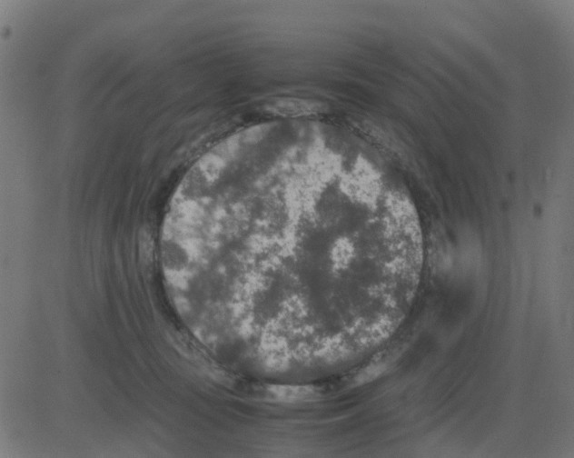 X0000081410371200702092115