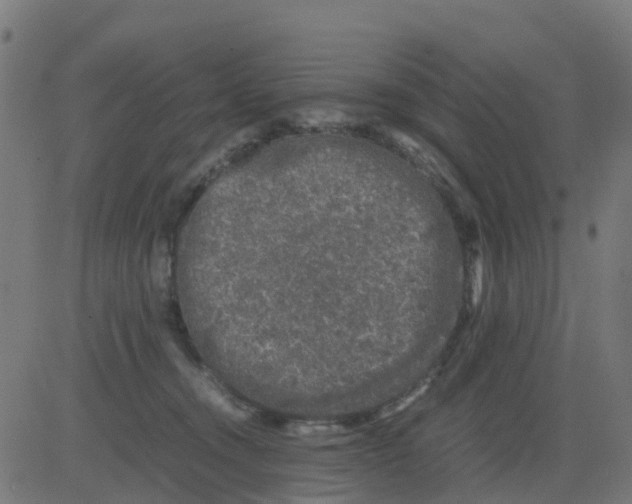 X0000081410372200702092115