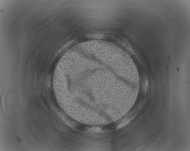 X0000081410374200702092115