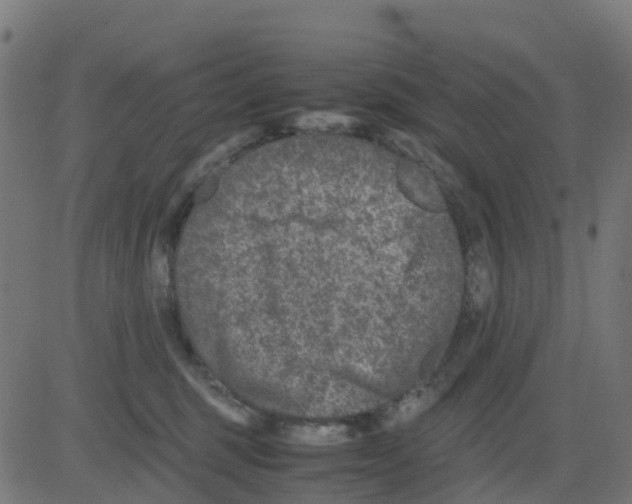 X0000081410375200702092115