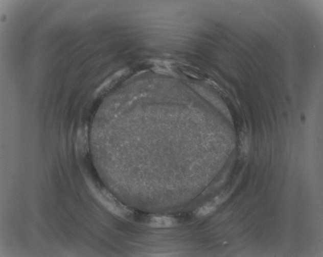 X0000081410376200702092115