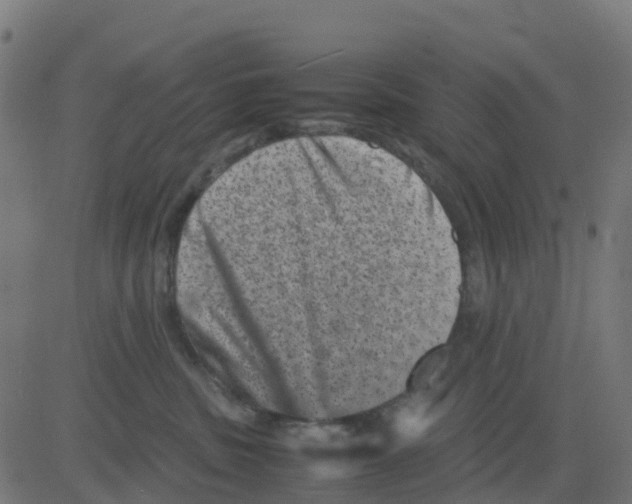 X0000081410379200702092115