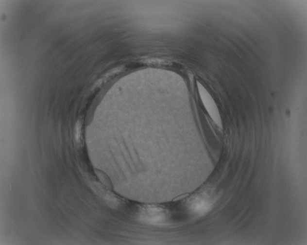 X0000081410380200702092115