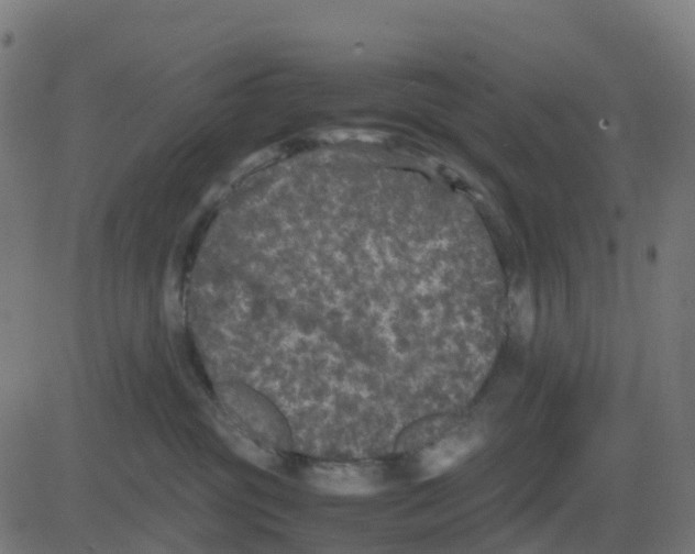 X0000081410381200702092115