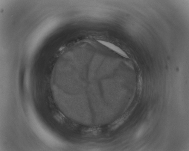 X0000081410383200702092115