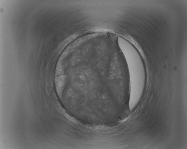 X0000081410385200702092114