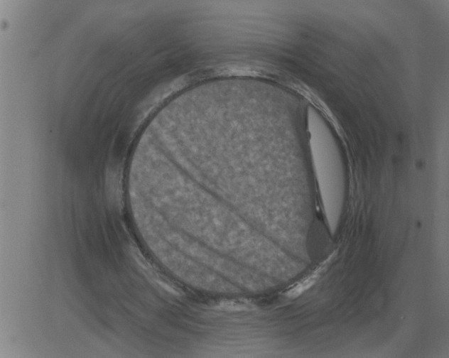 X0000081410386200702092114