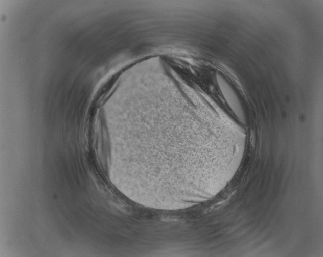 X0000081410388200702092114