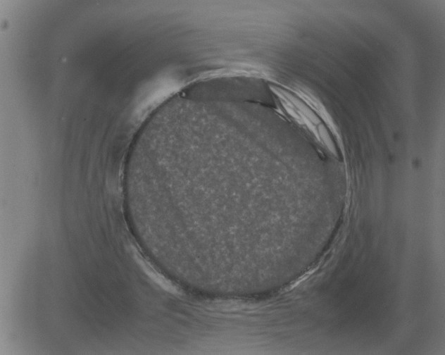 X0000081410389200702092114