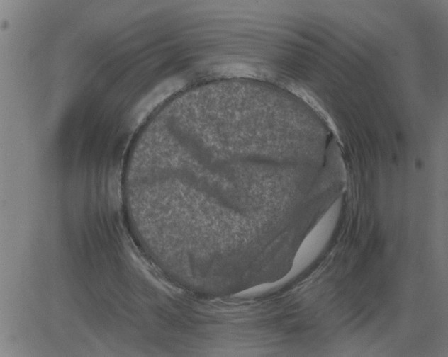 X0000081410390200702092114