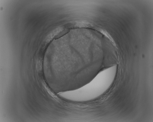 X0000081410393200702092114