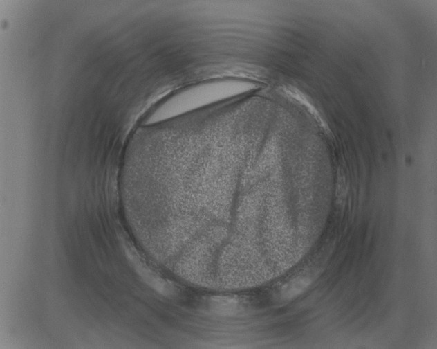 X0000081410394200702092114