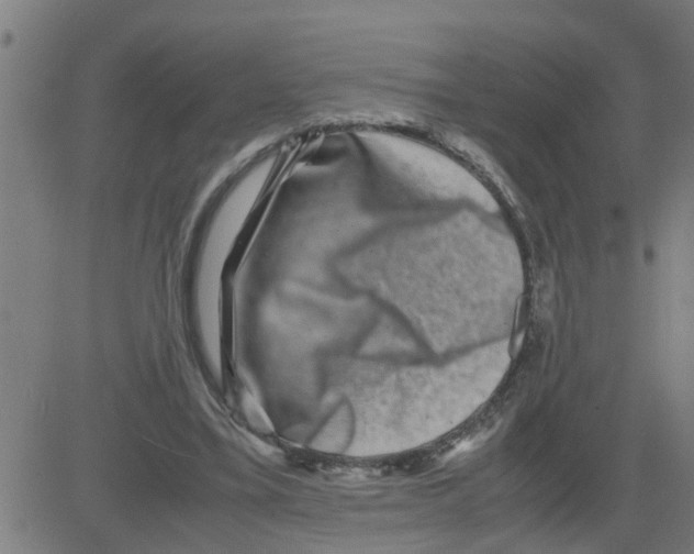 X0000081410395200702092114