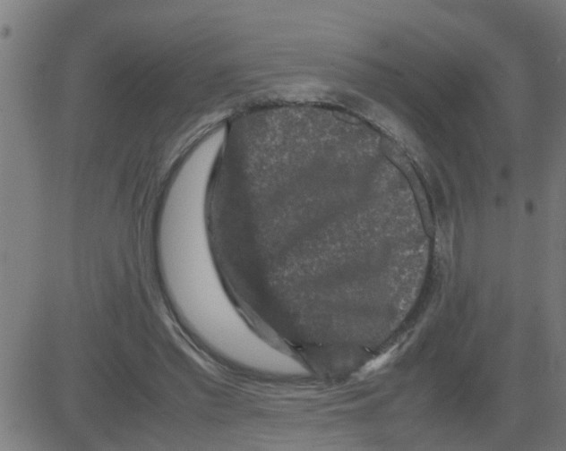 X0000081410397200702092114