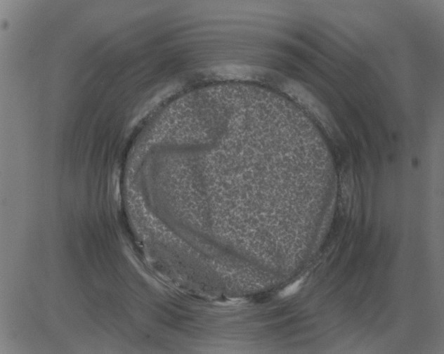 X0000081410398200702092114