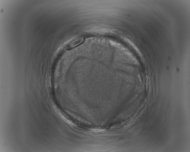 X0000081410399200702092114