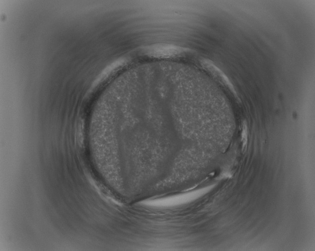 X0000081410400200702092114