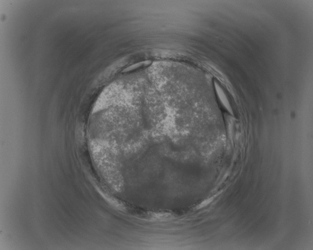 X0000081410401200702092114