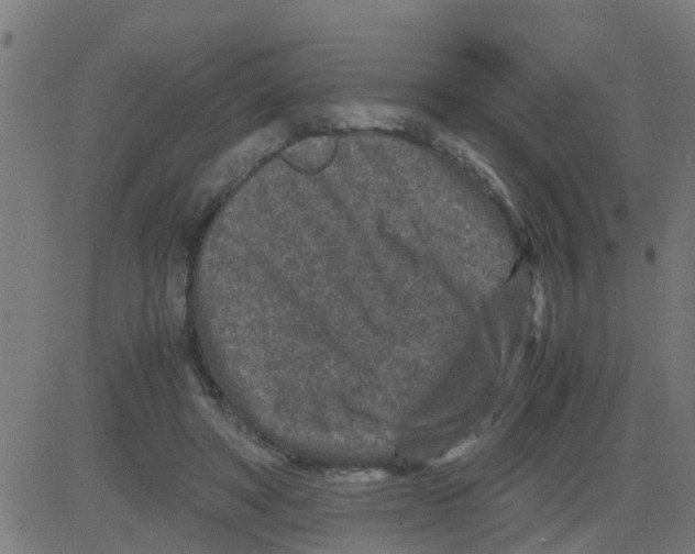 X0000081410402200702092114