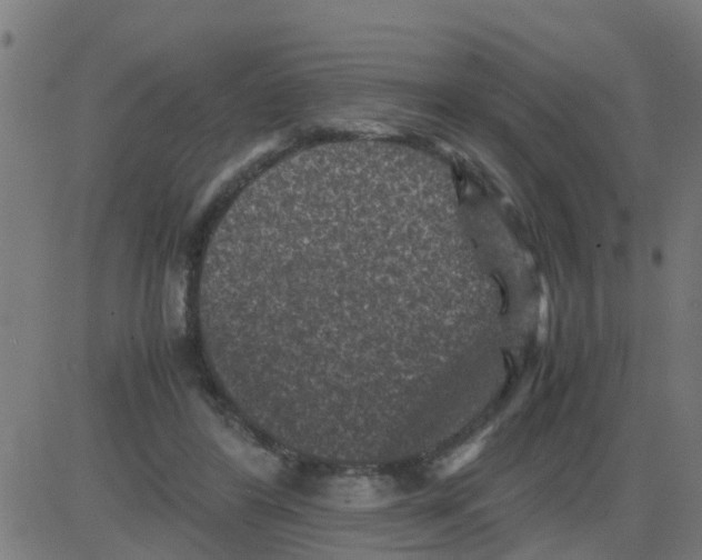 X0000081410404200702092114